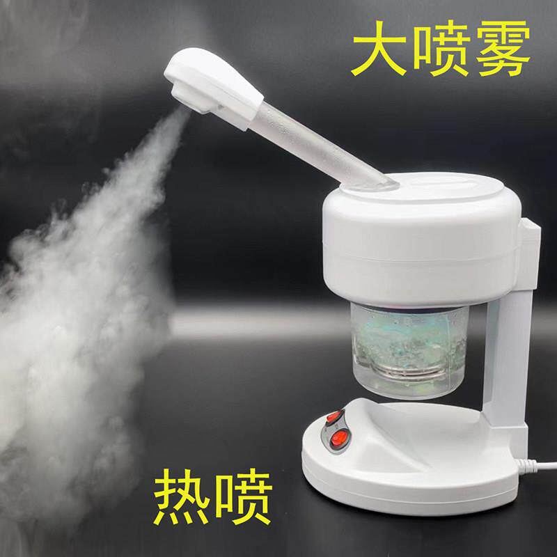 美容院单热喷雾机美容仪蒸脸器保湿仪热喷家用热喷机泰东水疗仪器