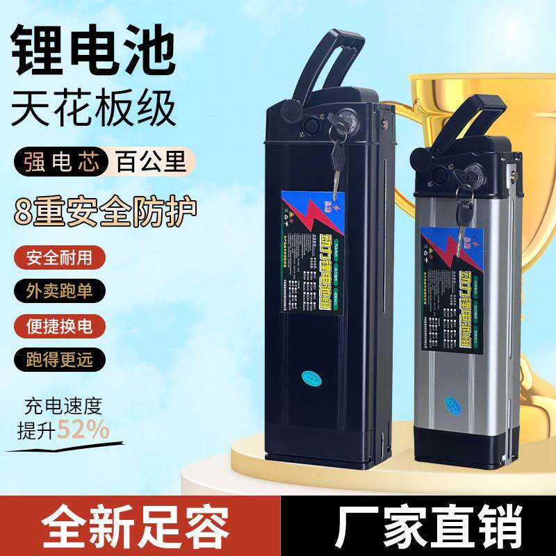 电动车锂电池48v20A代驾折叠车银鱼海霸尺寸永久凤凰新日五羊通用