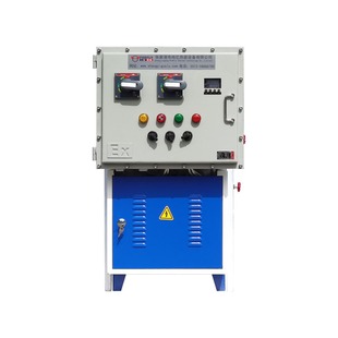 防爆电加热蒸汽发生器防爆电加热蒸汽锅炉BT4 CT4 BT5