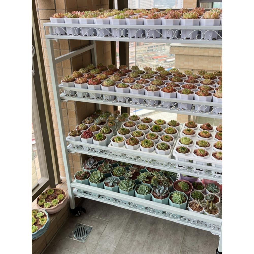 【带烟花】阳台多肉花架、室外落地轮式移动室内铁台多层花架