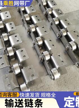 大小滚珠输送链条C212AL/C2052/C2102单双侧双孔弯板链A1/K2附件