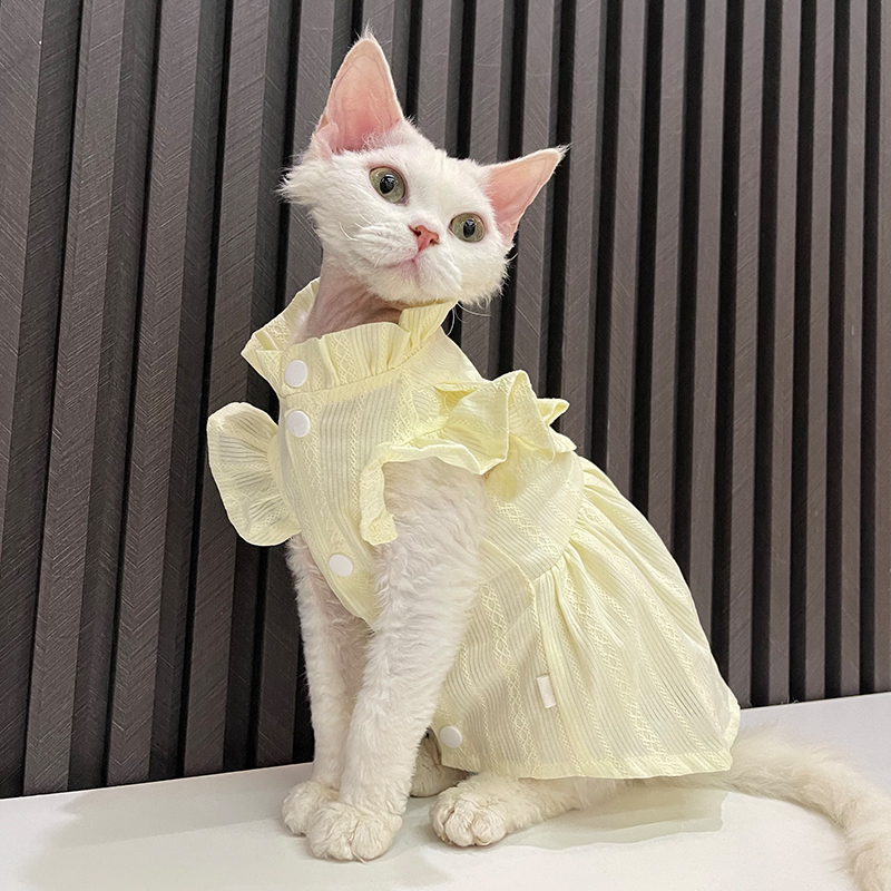 超薄透气夏季背心裙任发财z无毛猫衣服斯芬克斯猫德文衣服