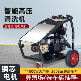 刷车水枪神器抢清洗机 家用高压洗车机水泵220v大功率便携式