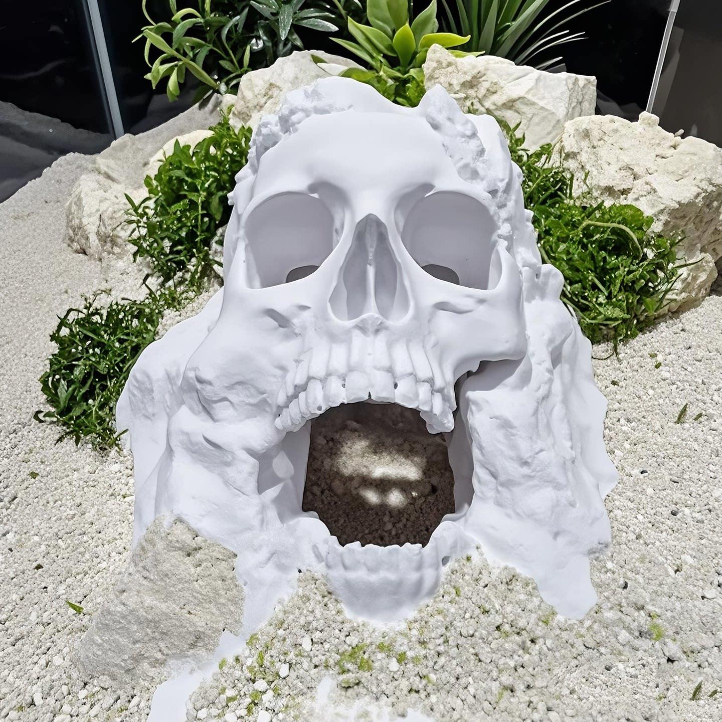 3D打印骷髅爬宠躲避屋蜥蜴守宫角蛙饲养箱造景晒台洞穴龟缸装饰