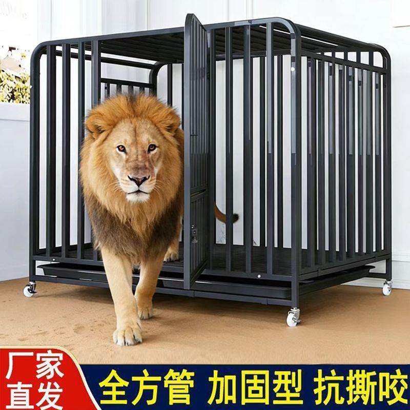 狗笼子全方管金毛边牧拉布拉多柯基泰迪博美萨摩法斗大中小型犬舍