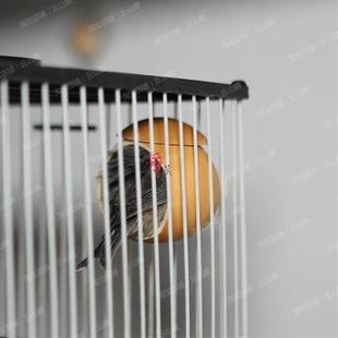 贝子窝红子黑子鸟窝手工葫芦大号中号小号鸟窝