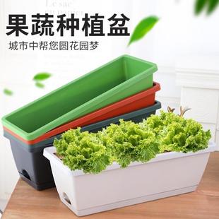 阳台种菜盆种菜神器家庭阳台蔬菜长方形塑料长条花盆槽盆栽种植盆