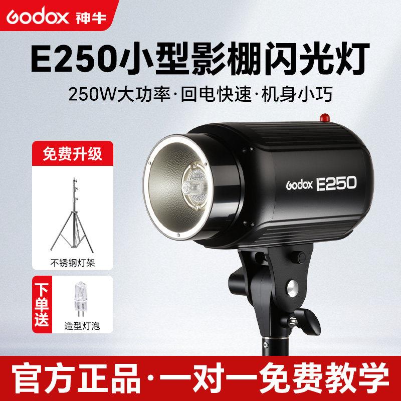 Godx 神牛E250w 摄影闪光灯250DI小先锋200w室内专业人像证件照拍
