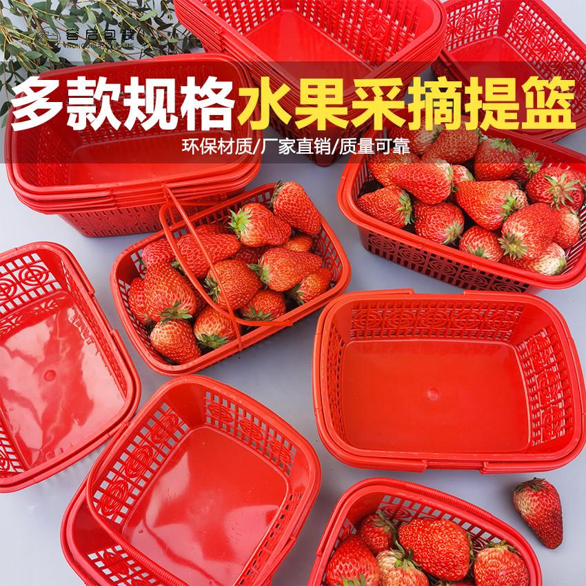 草莓篮杨梅采摘篮1斤2斤3斤草莓篮子手提塑料篮 方形水果筐水果篮