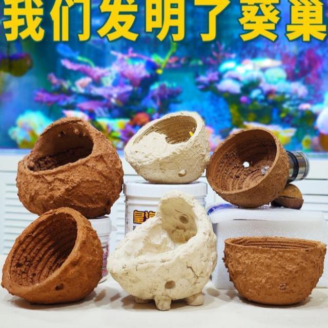 奶嘴防跑奶嘴窝家杯海葵地毯屋窝家奶嘴杯海葵容器皇海葵巢