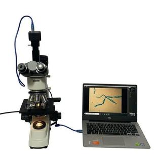 路用纤维试验仪器 纤维图像分析试验仪 LHTF 553G型