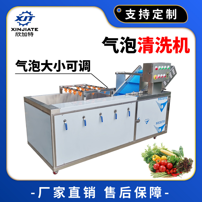 厂家直销全不锈钢蔬菜清洗机 气泡清洗机 净菜加工果蔬臭氧洗菜机