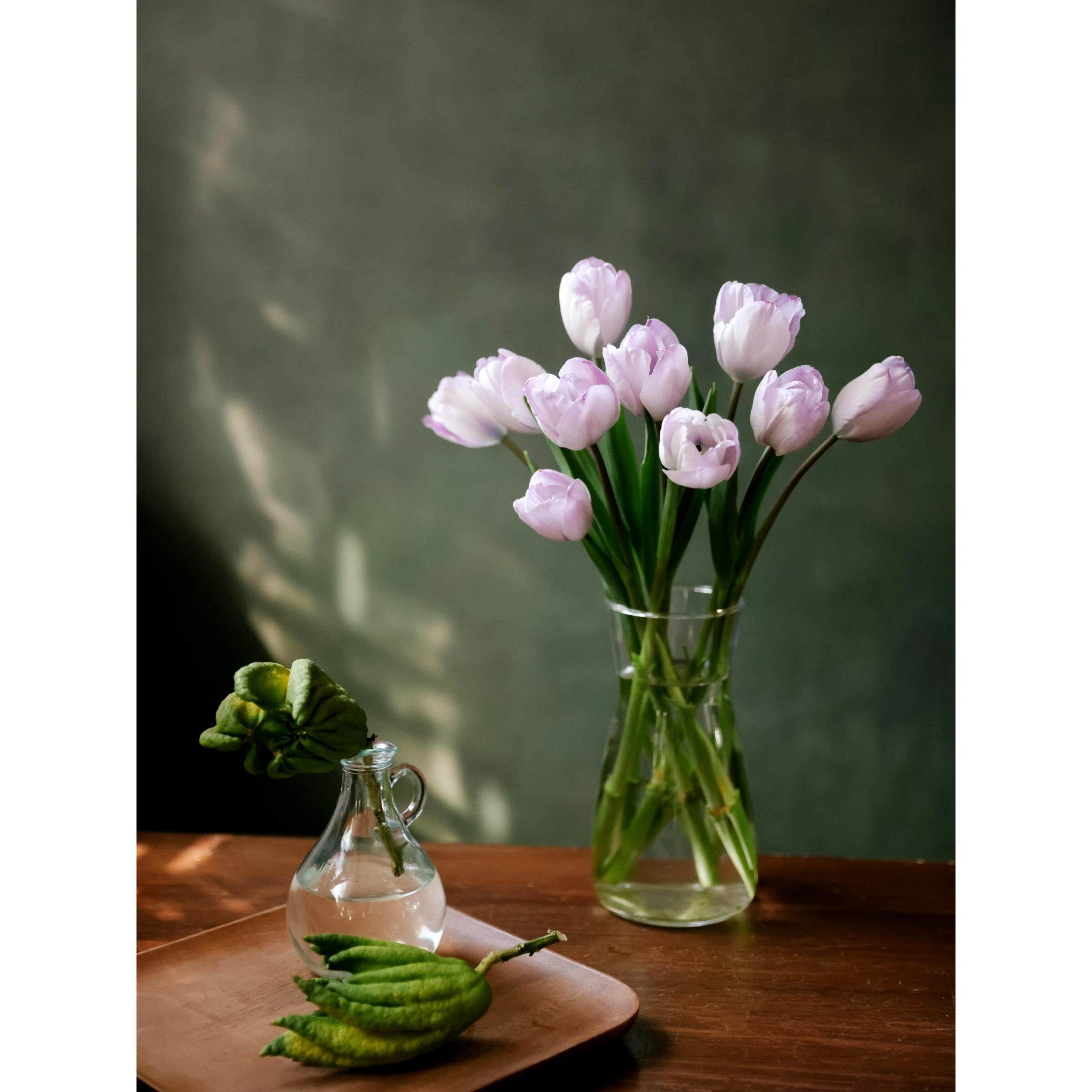 郁见美好 | 郁金香花束 鲜花云南直发 A级郁金香重瓣邮政空运包邮