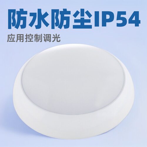 LED圆形亚克力吸顶灯室内明装顶灯IP54应用控制调光灯欧洲款防水
