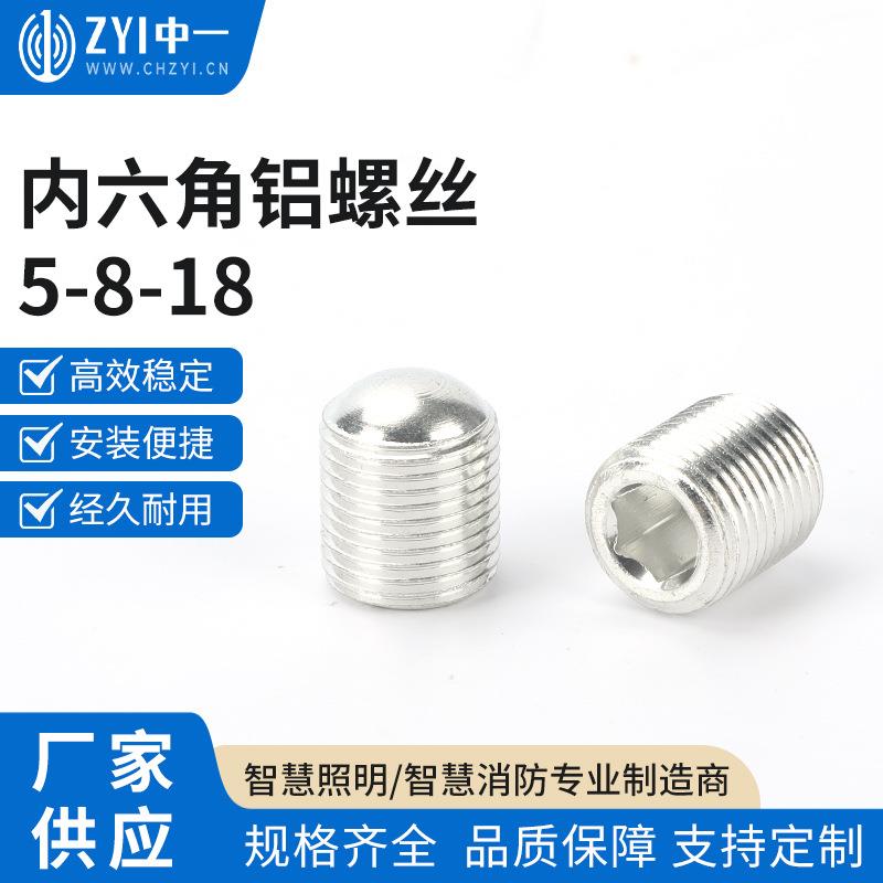 内六角铝螺丝5-8-18轻载型弹簧柱塞 不锈钢带螺纹型弹顶珠 波仔螺