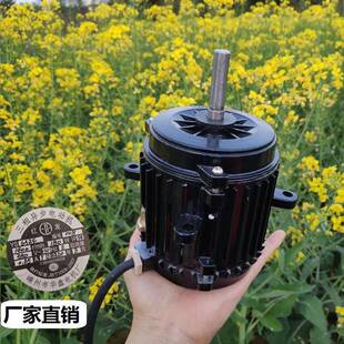 冷库电机三相异步电动机YS6324-180W防水电机节能高效