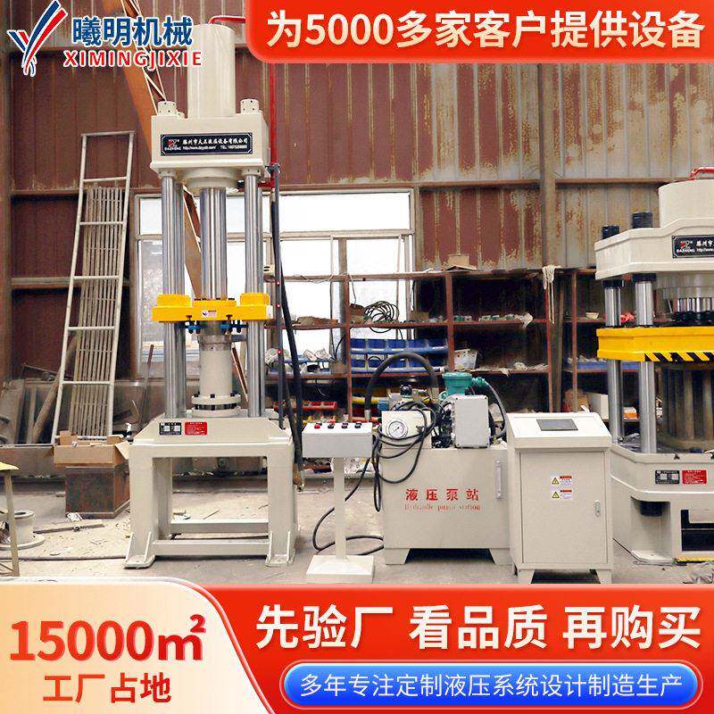 YL32-150t挤条机厂家金属活性炭污泥催化剂茶叶橡胶树脂胶挤条机
