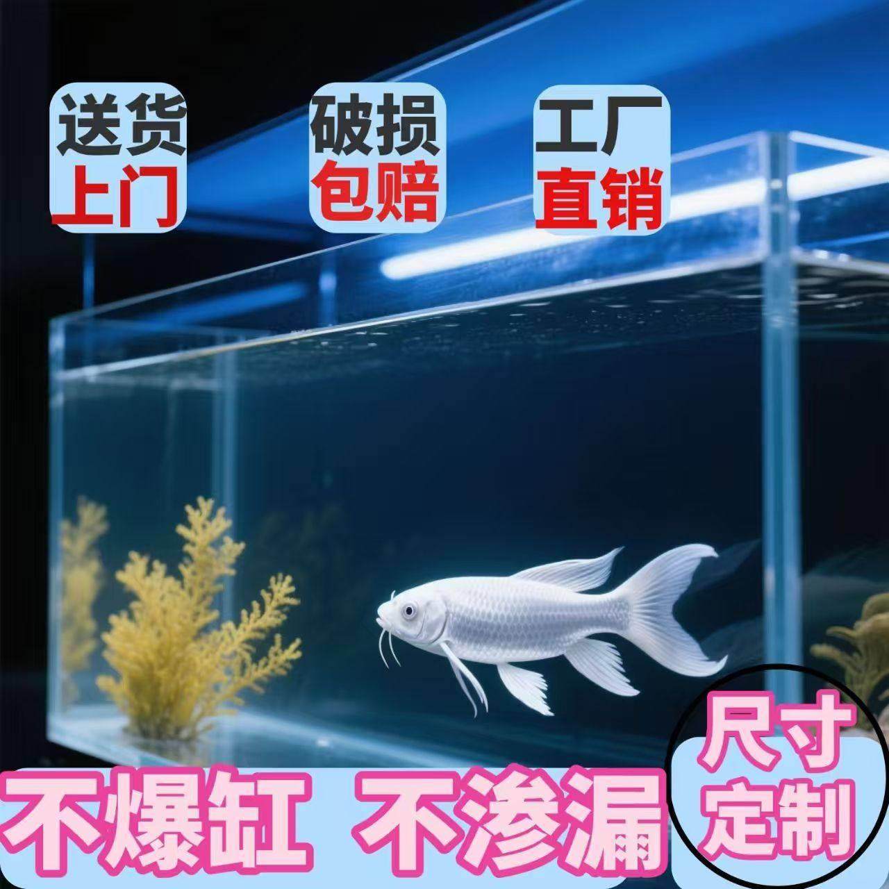 金晶五线超白鱼缸2025新款客厅小型桌面生态造景金鱼斗鱼缸水草缸