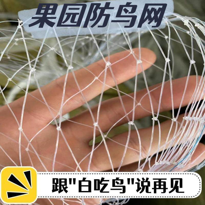 果园果树防鸟网天网稻谷农作物防护网鱼虾蟹塘防鸟抗老化寿命长