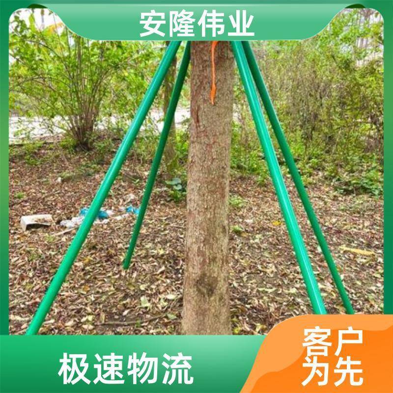 镀锌钢管树木支撑架固定器防风支架支撑杆园林绿化苗木树撑大树支