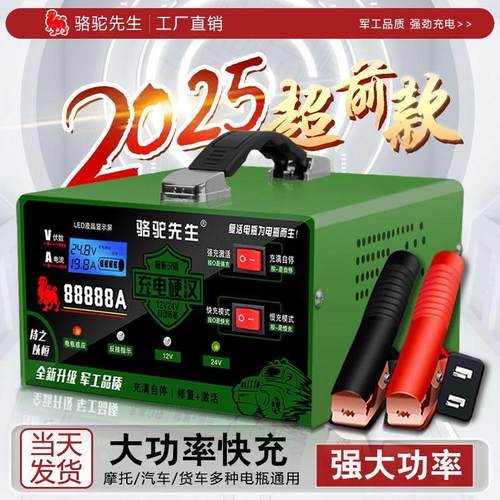 德国进口汽车电瓶充电器12V24V摩托汽车蓄电池纯铜全智能修复型自