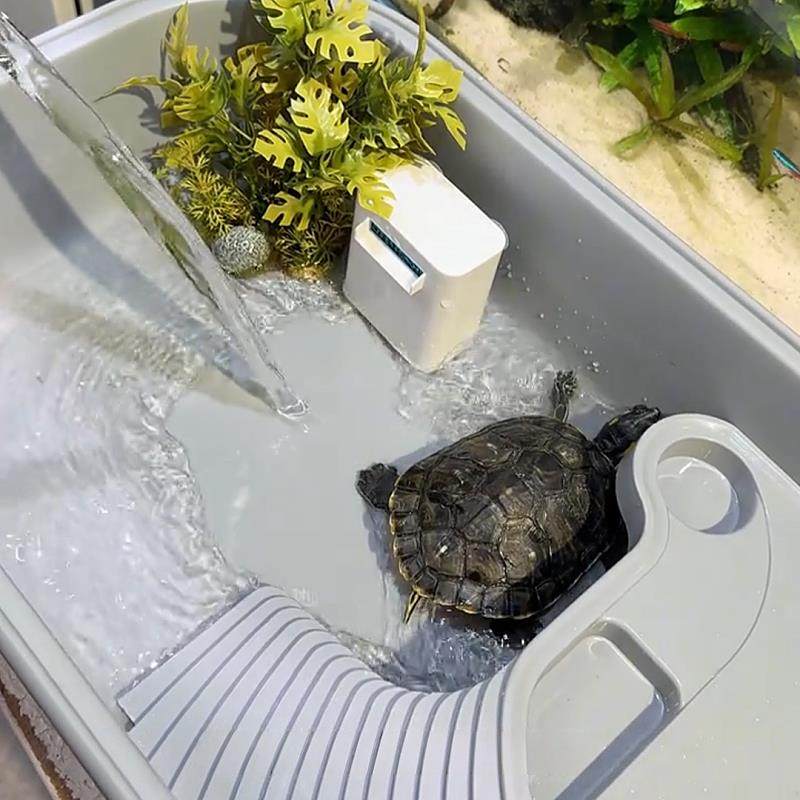 养乌龟专用缸家用乌龟饲养缸生态缸饲养盒带晒台爬台乌龟养殖箱盆,宠物/宠物食品及用品,龟缸,淘宝优惠券,粉丝福利购,淘宝优惠卷