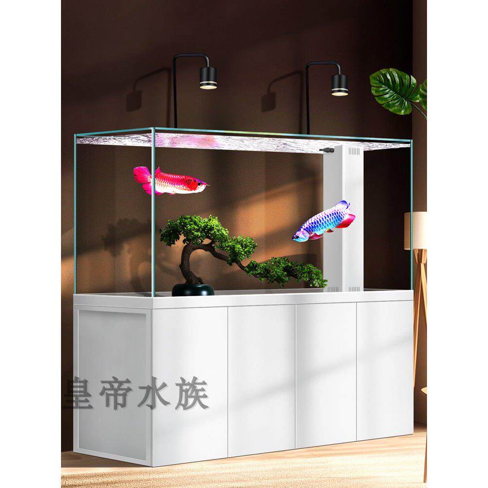 专业水刀集成拉金龙鱼缸底滤水缸客厅家庭水无变化生态景观水族馆