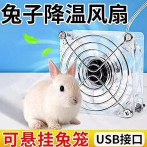 宠物降温风扇兔子仓鼠笼子专用电扇小侏儒垂耳兔散热防蚊防臭空调
