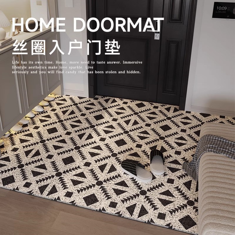 德国地垫入户门i垫丝圈大门口防滑脚垫进门玄关地毯可裁剪定制门