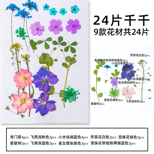 新款组合花包 干花压花材料包diy滴胶相框台灯押花真树叶植物标本