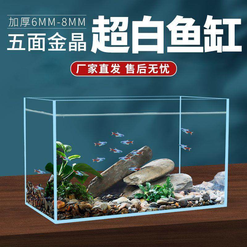 金晶五线超白玻璃鱼缸2025新款家用定制斗鱼缸金鱼乌龟缸生态草缸