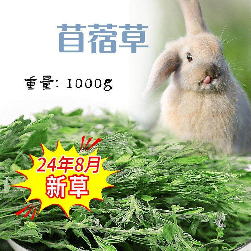 紫花苜蓿干草兔草紫花苜蓿草干草荷兰猪豚鼠兔粮龙猫苜草龙猫干草,宠物/宠物食品及用品,兔兔干草,淘宝优惠券,粉丝福利购,淘宝优惠卷