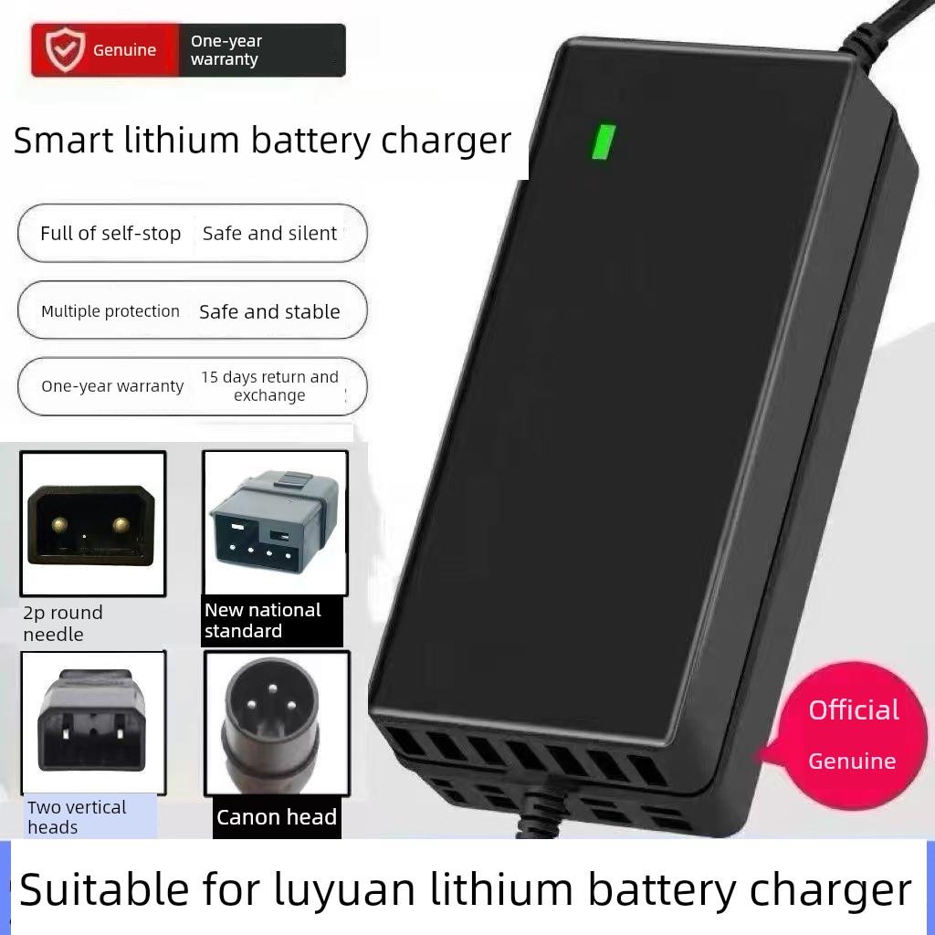 适用于绿源锂电池电动车充电器48V14Ah20Ah24Ah通用2P双圆孔Xlr