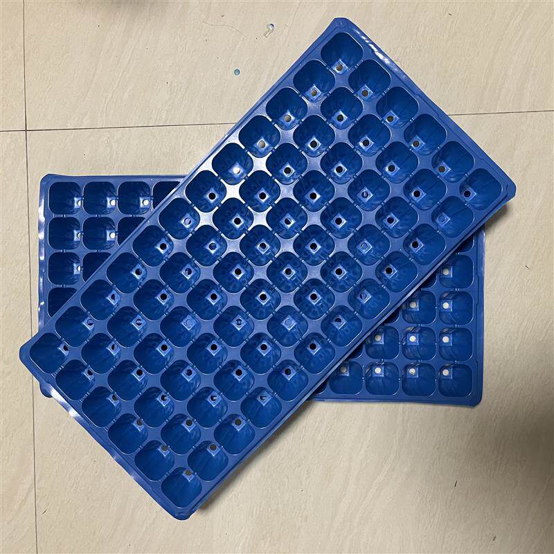 育苗盘穴盘多肉蔬菜草莓芽菜盘平盘加厚苗木播种育苗盆菜苗育苗盆