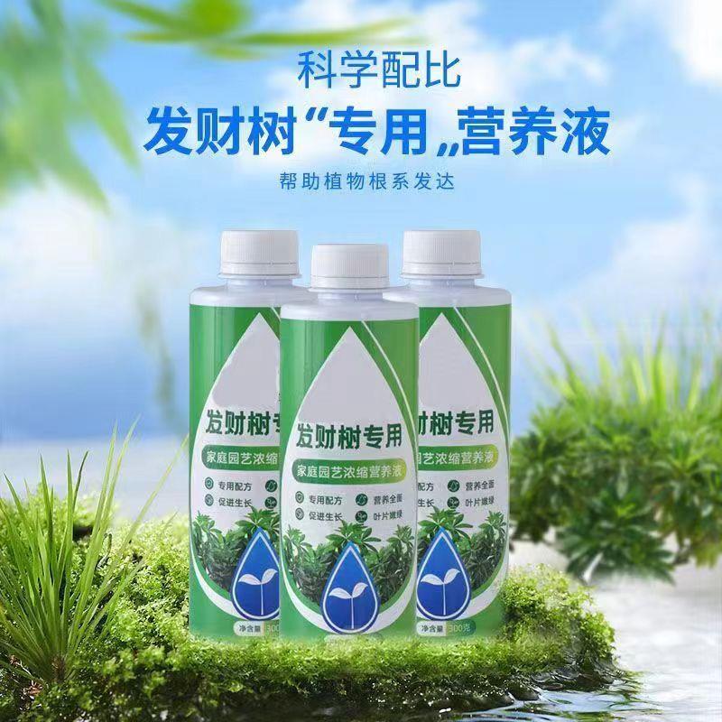 发财树营养液专用肥黄叶烂根急救水培绿植物家用盆栽通用养花zx
