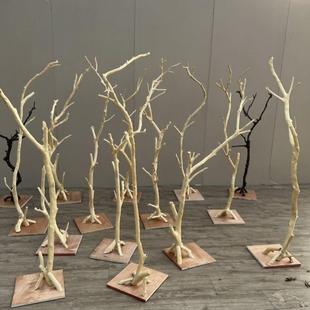 树枝干枝支架鸟站架鹦鹉木架树干灯架装饰干 干树枝艺术摆件原木