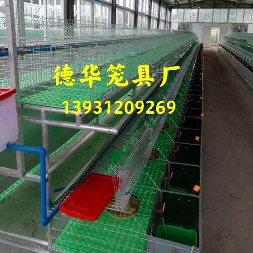 欧式兔笼阶梯式兔笼加粗加密新式免清粪养殖场专用特大号子母兔笼