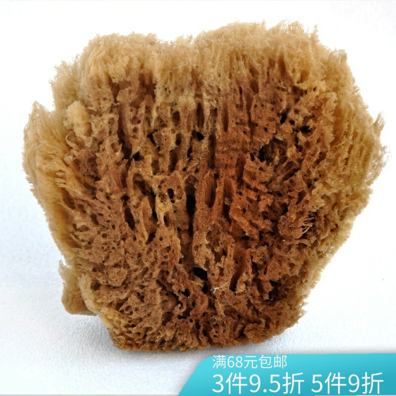 深海实心草海绵天然老海藻棉 拍花绘画艺术漆硅藻泥工具非浴刷