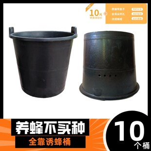 10个装诱蜂桶带盖子黑色塑料桶粪桶引蜂桶招蜂桶养蜂桶带盖子