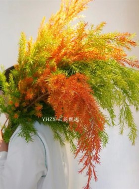 【云花甄选】油画色红色橙色黄绿色千层金组合鲜切枝云南直发空运