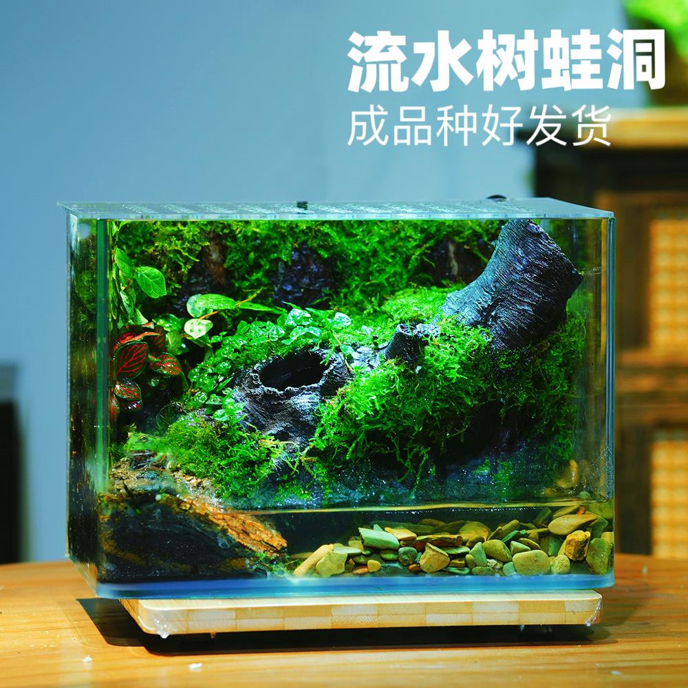 雨林缸创意苔藓微景观角蛙树蛙恶魔蟹爬宠缸养鱼造景生态瓶套餐