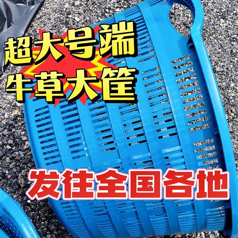 特大号端牛草圆形塑料筐特大号水果筐加厚西瓜箩筐蔬菜收纳筐框子