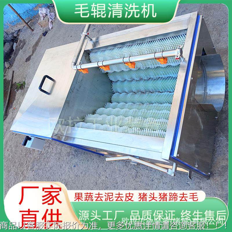 鲤鱼好 毛刷去泥去加工设HBV备 去皮效果莲藕清鳞洗去皮一体机