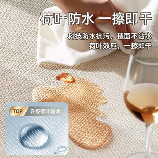 家用客厅轻奢高级地毯加厚防脏客厅卧室地毯茶几地毯子踩脚沙发垫