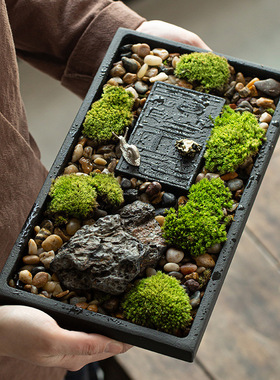 茶盘盆景乌金石桌面禅意小摆件田园空间装饰品中国风Y茶道绿植微