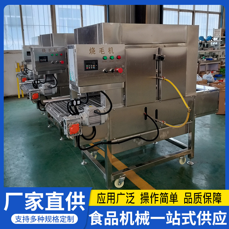 隧道式燎毛机牛蹄驴蹄烧毛机器乌鸡家禽杂毛处理烧制机