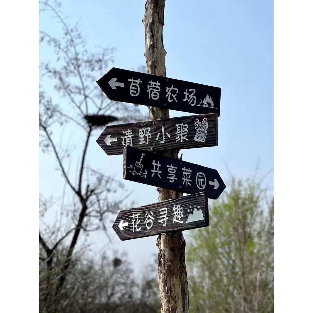 热卖户外防腐导向牌箭头指路广告分流指引牌路标牌指示木牌定制牌