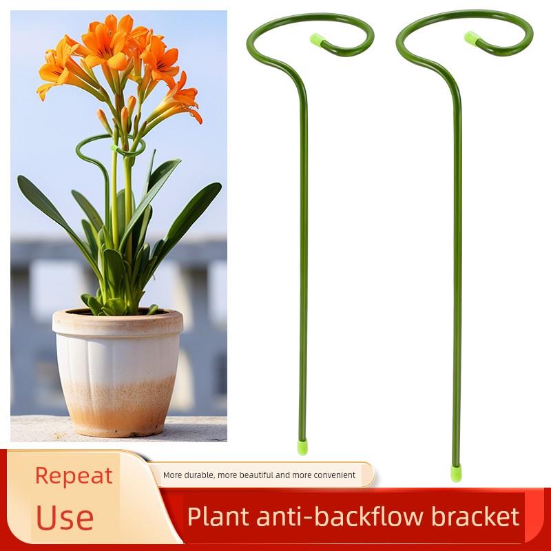 植物抗倒伏支架锻铁绣球蜘蛛植物支撑杆园艺固定框架攀援藤花苋菜