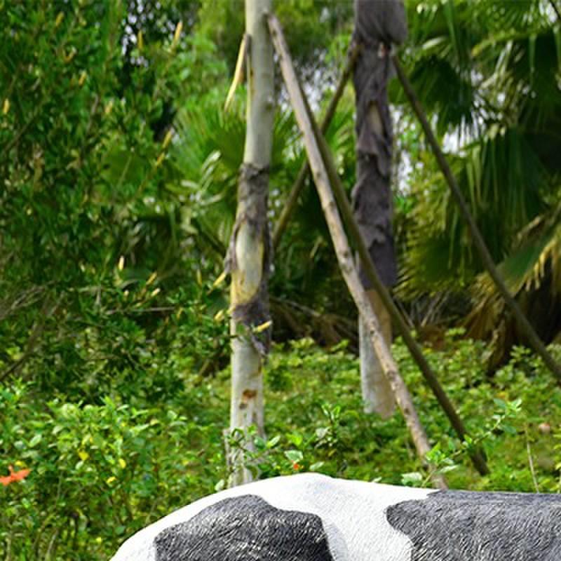 彷真动物奶牛模型玻璃钢雕塑工艺品农场花园林景观装饰品户外摆件