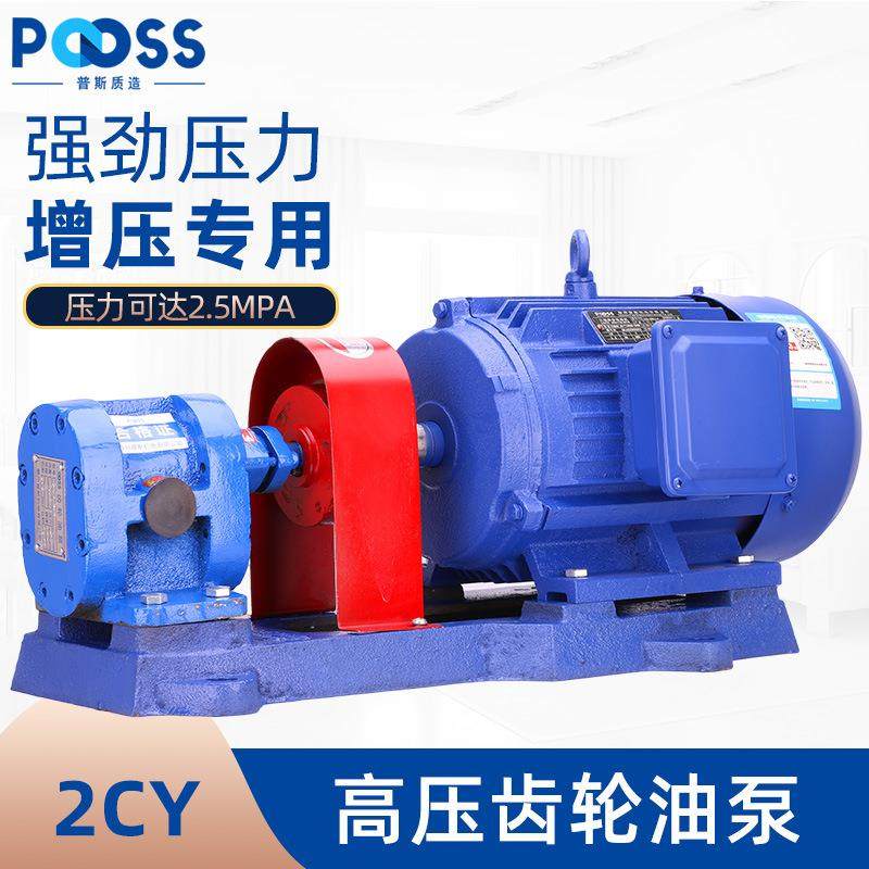 普斯2CY高压齿轮油泵电机机油柴油循环抽油泵自吸增压铜芯2.5MPA,五金/工具,其它泵类型,淘宝优惠券,粉丝福利购,淘宝优惠卷